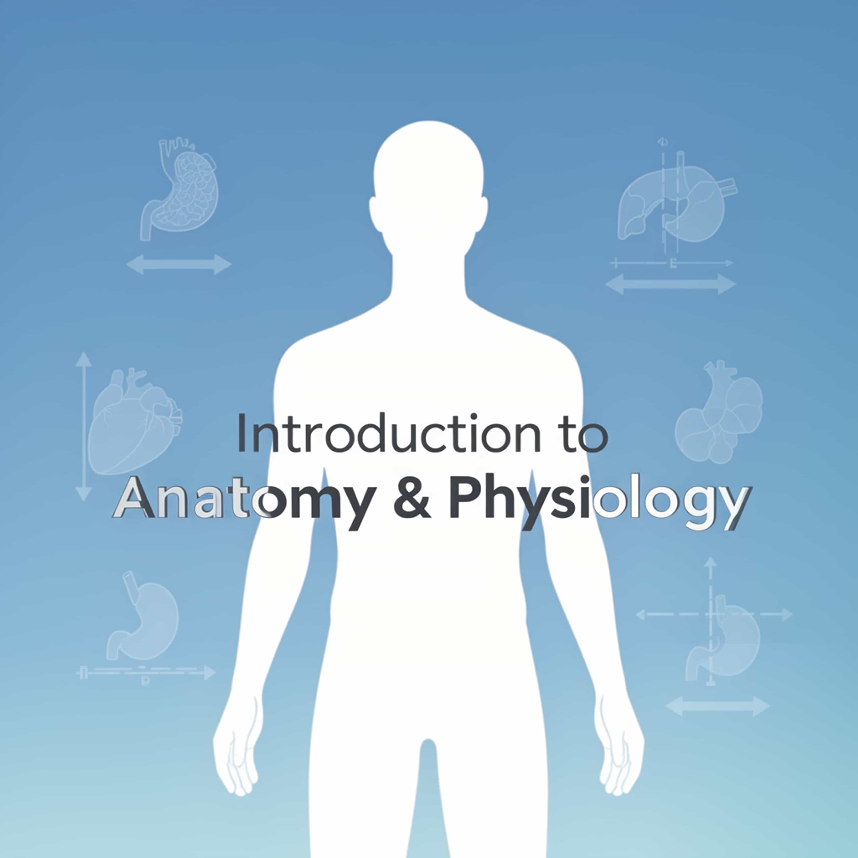 Introduction to Anatomy & Physiology